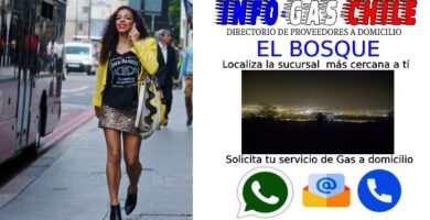 adolescente solicitando un servicio de gas a domicilio por telefono en la comuna el bosque